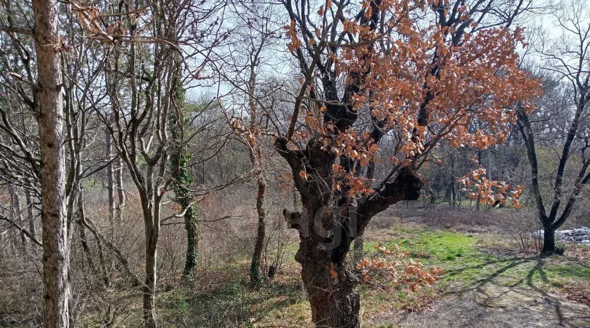 свободного назначения г Геленджик Голубая Бухта ул Взлетная 39а фото 19