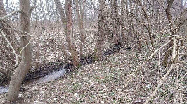 земля Балтийский городской округ фото