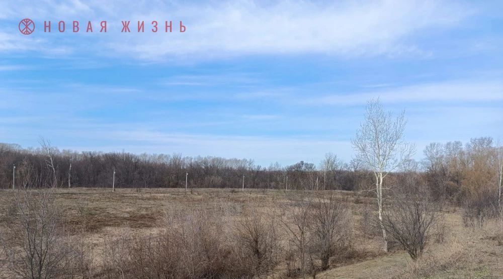 земля г Самара Алабинская фото 4