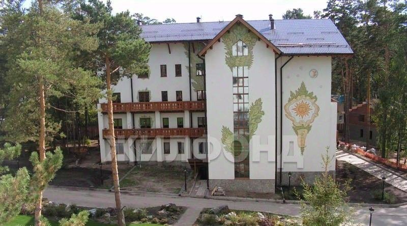 квартира г Новосибирск Заельцовская ш Дачное 2 фото 10