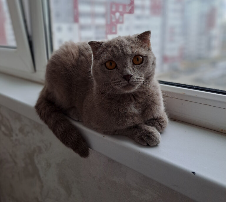 квартира г Чебаркуль ул 9 Мая 31 фото 15