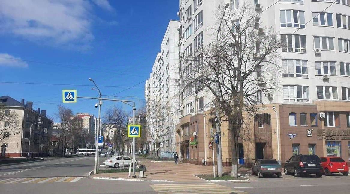 торговое помещение г Белгород Восточный пр-кт Славы 36 фото 8