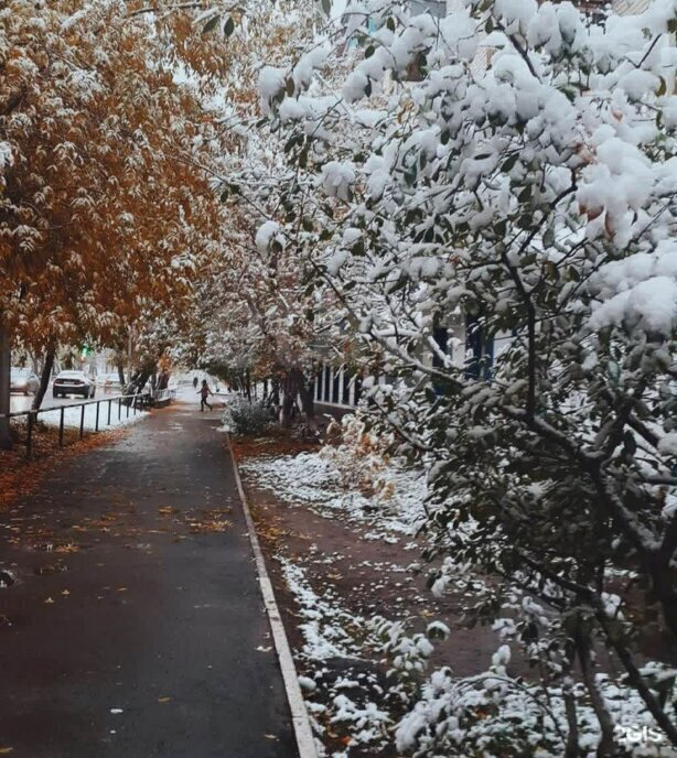 квартира г Тюмень ул 50 лет ВЛКСМ 83 фото 5