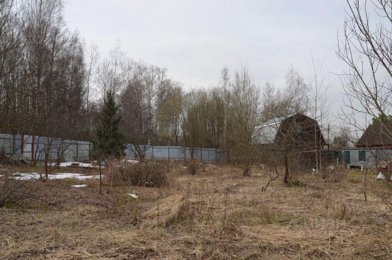 земля городской округ Богородский г Ногинск снт Березка-354 фото 7