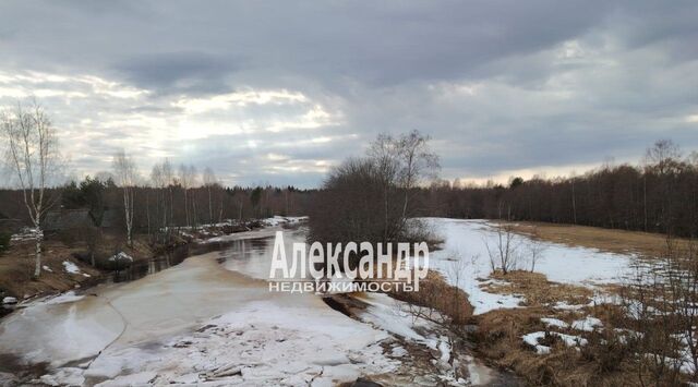 д Пирозеро Алеховщинское с/пос фото