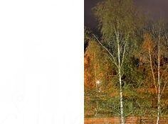 квартира г Ставрополь р-н Октябрьский пр-кт Кулакова 49/6 фото 10