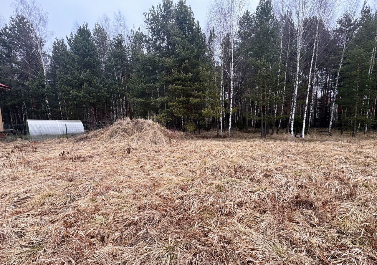 земля городской округ Богородский г Ногинск 33 км, коттеджный пос. Зимородок, 83, Горьковское шоссе фото 3