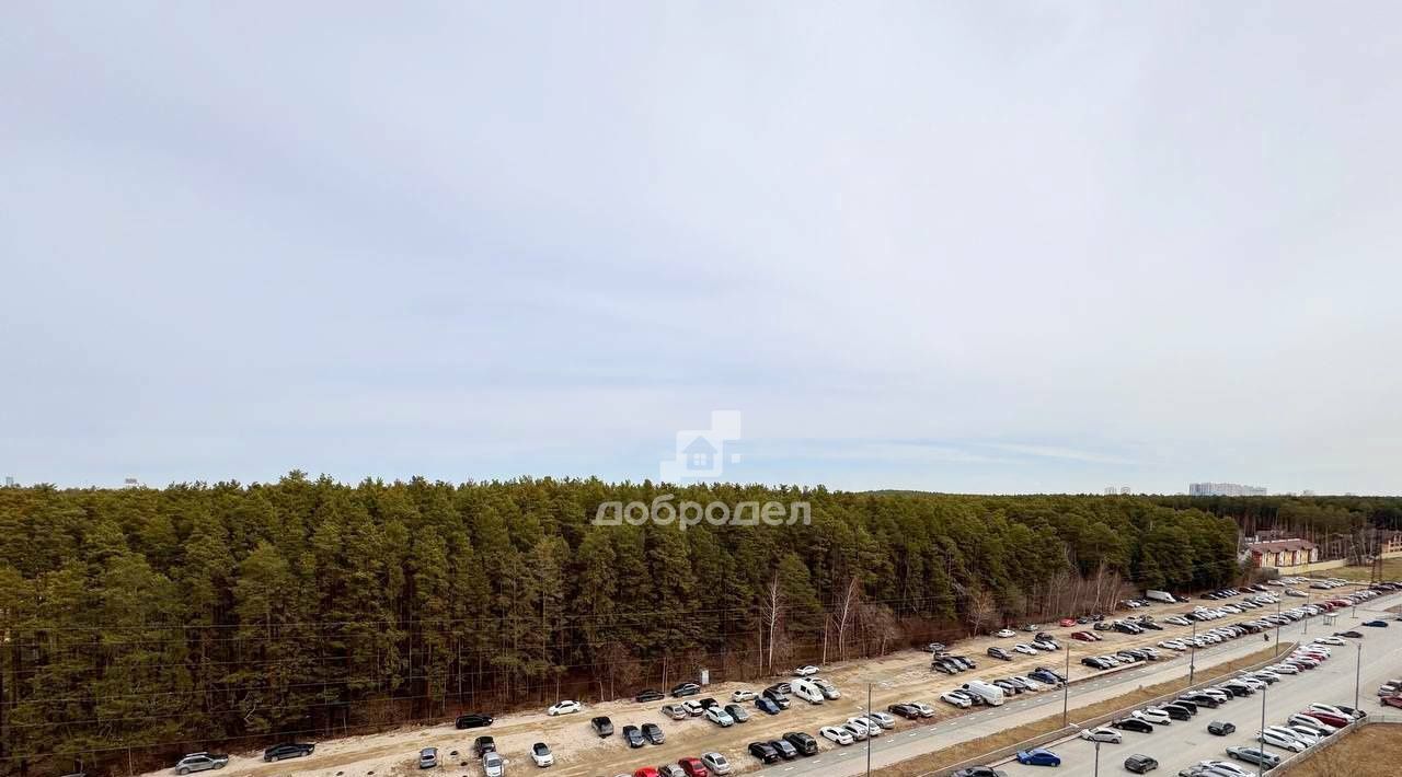 квартира г Екатеринбург Чкаловская ул Чкалова 231 фото 8