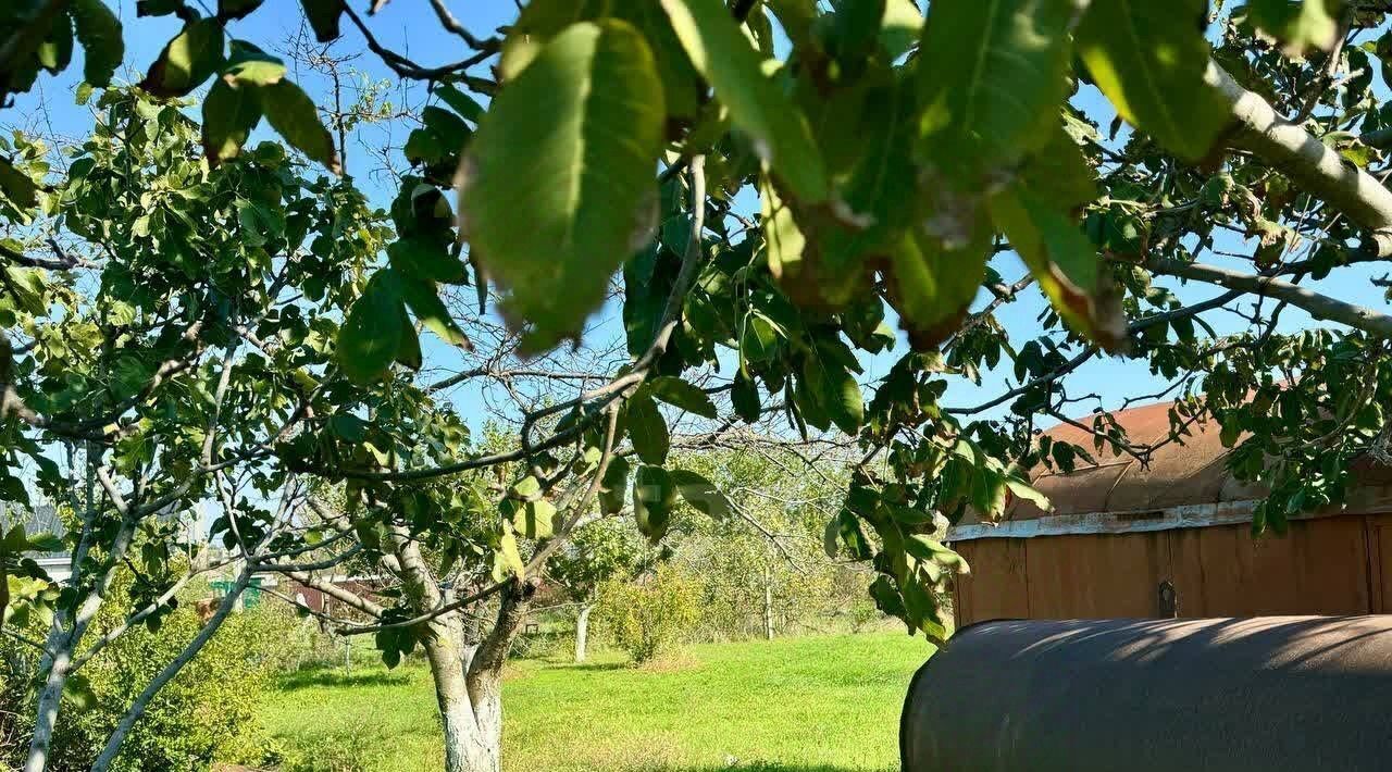 земля г Феодосия снт тер.Светоч ул Пихтовая фото 11