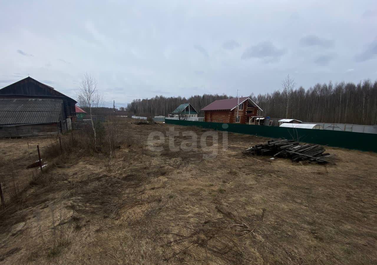 земля г Бор д. Пикино фото 9