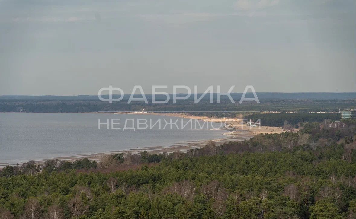 свободного назначения г Сестрорецк ш Дубковское 9 р-н Курортный фото 25