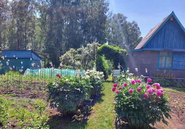 ул Яблоневая Новоалтайск фото
