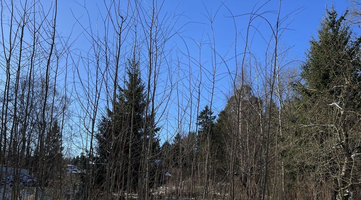 земля р-н Всеволожский г Всеволожск Ладожская, 1-я линия фото 3