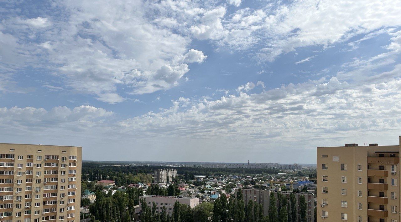 квартира г Воронеж р-н Железнодорожный пр-кт Ленинский 124б фото 5