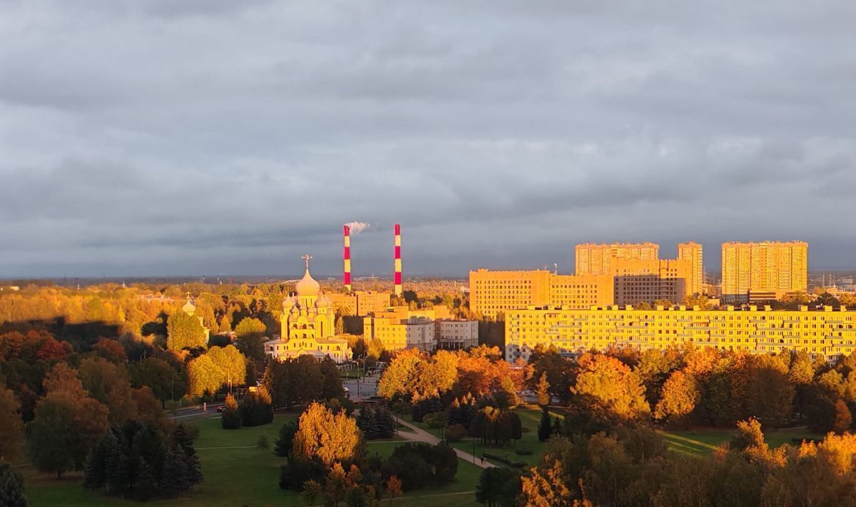 квартира г Санкт-Петербург метро Лесная ул Замшина 31к/4 фото 32