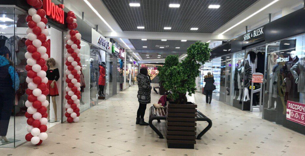 торговое помещение г Санкт-Петербург метро Проспект Просвещения пр-кт Просвещения 19 фото 4