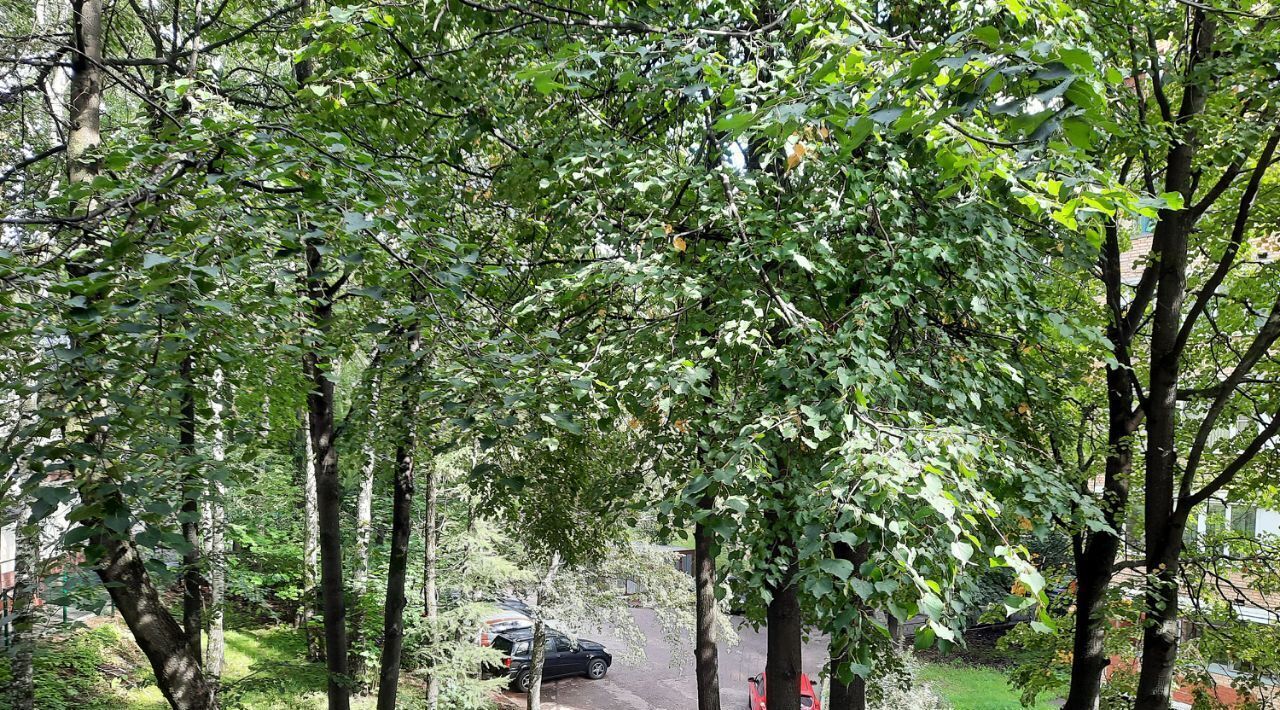 квартира г Одинцово ул Северная 14 Рассказовка фото 23