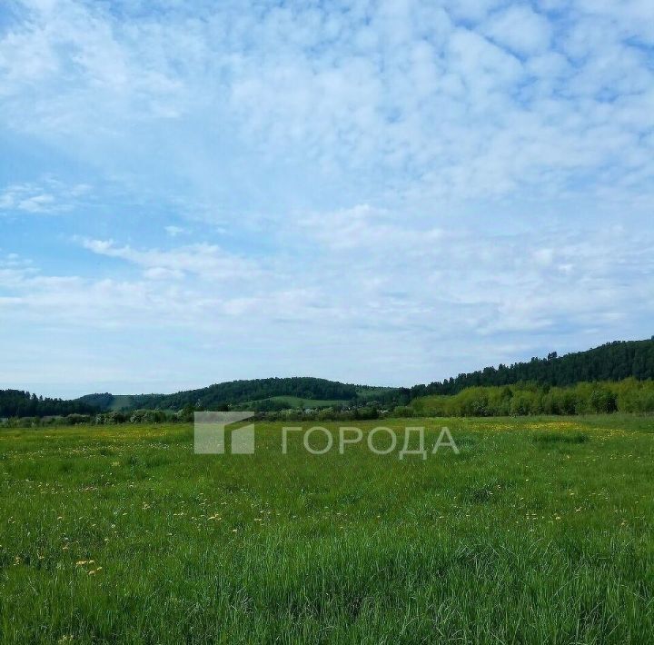 земля р-н Новокузнецкий с Куртуково ул Новая фото 2