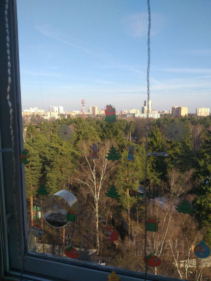 квартира г Пушкино проезд 1-й Добролюбовский 23к/2 Западный фото 10