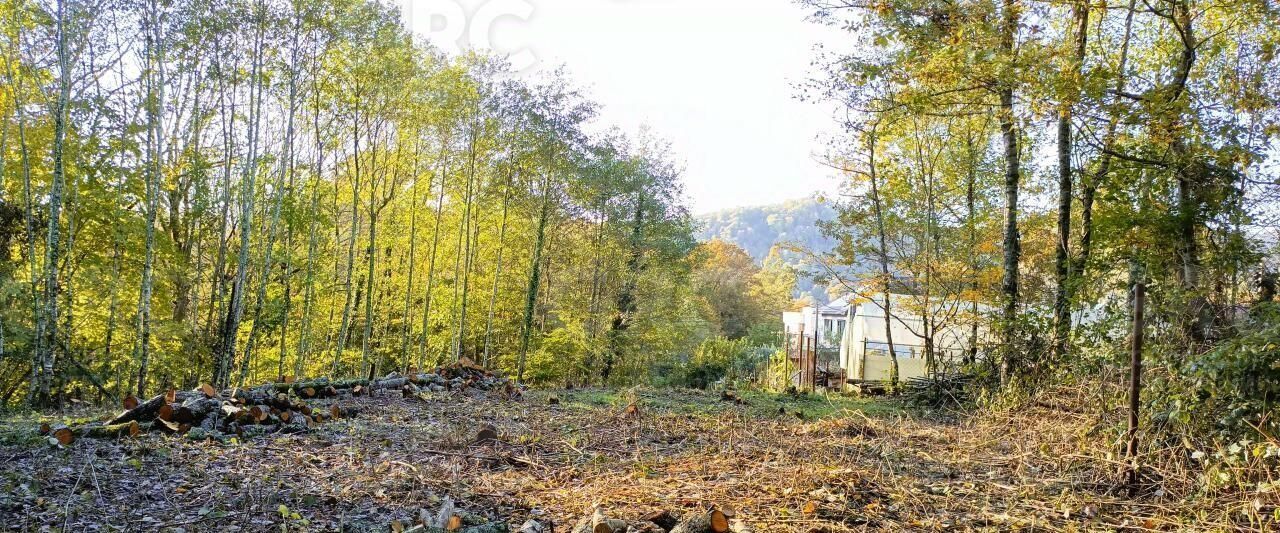 земля г Сочи ул Барановское шоссе Дагомыс пгт фото 2