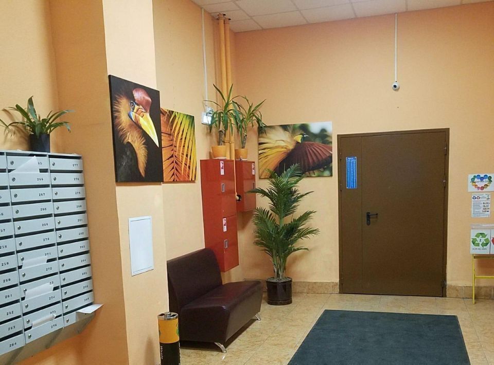 квартира г Санкт-Петербург п Парголово ул Заречная 11к/4 метро Парнас фото 17