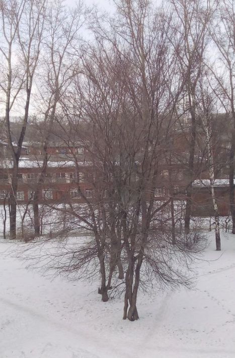 квартира г Новокузнецк р-н Кузнецкий ул Народная 33 фото 6