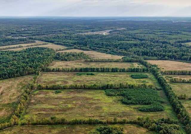 38 км, Электросталь, Носовихинское шоссе фото