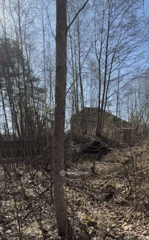 земля снт Заозерное Сертоловское городское поселение фото