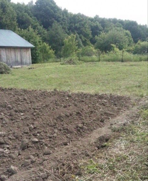 земля городской округ Зарайск д Верхнее Плуталово фото 7