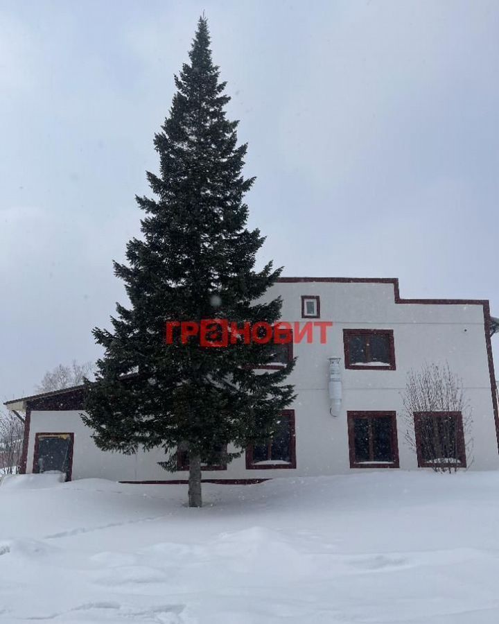 свободного назначения г Новосибирск Заельцовская ул Фадеева 1а фото 3