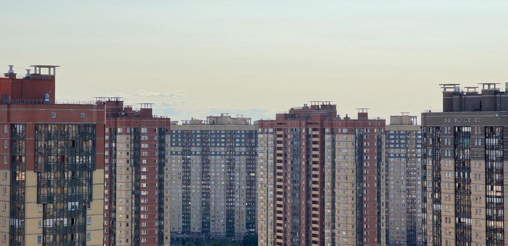 квартира г Санкт-Петербург п Парголово ул Михаила Дудина 25к/1 метро Парнас фото 22