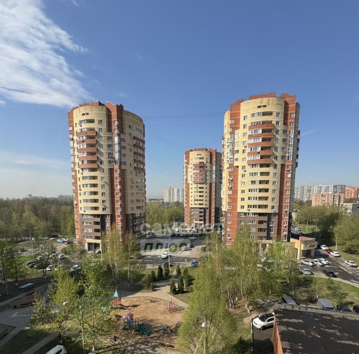квартира г Балашиха д Черное ул Агрогородок 18 Новокосино фото 39