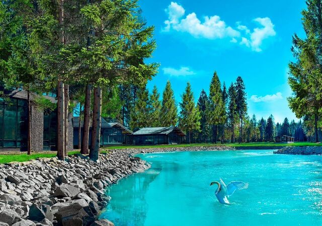 54 км, эко-посёлок Ели Эстейт, Новопетровское, Ленинградское шоссе фото