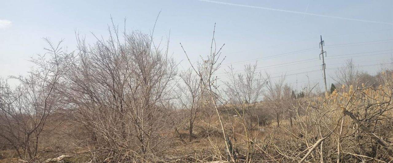 офис г Волгоград р-н Тракторозаводский ул им. Лавренева фото 2