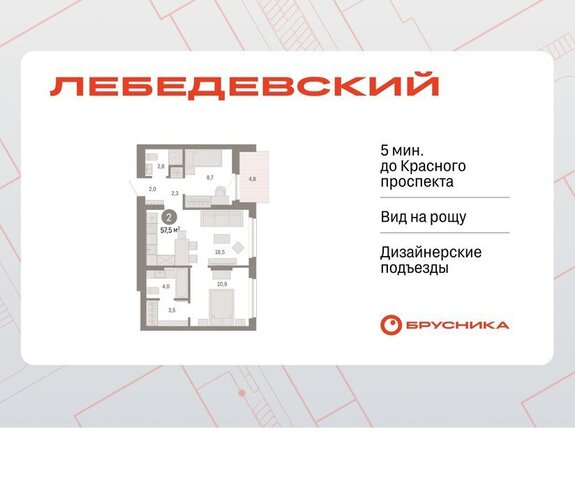 квартал № 5 Заельцовская ЖК «Лебедевский» фото