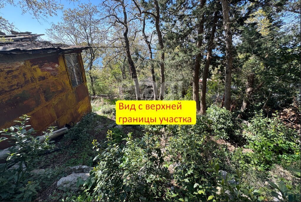 земля г Ялта пгт Гаспра фото 6