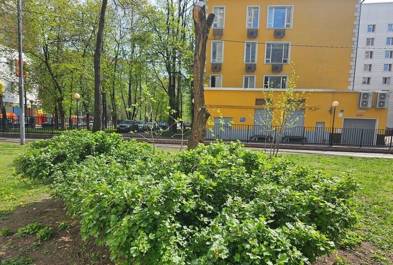 квартира г Москва метро Белорусская ул Скаковая 15к/2 фото 9