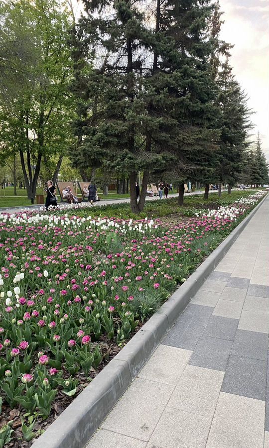 квартира г Белгород Западный ул 50-летия Белгородской области 14 фото 29