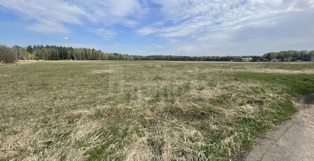 снт Барсуки сельское поселение Высокиничи, Кременки фото