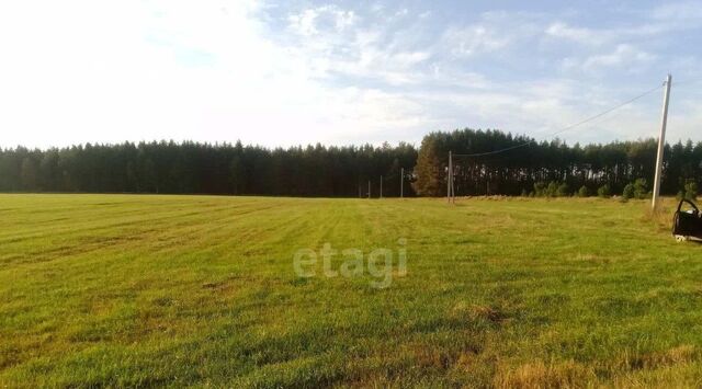 Константиновское с/пос, Новая волна кп фото