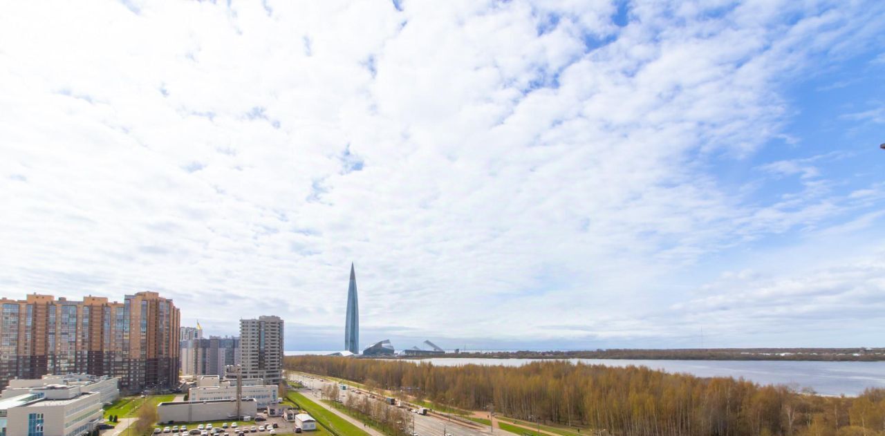квартира г Санкт-Петербург ул Оптиков 51к/1 Беговая фото 32