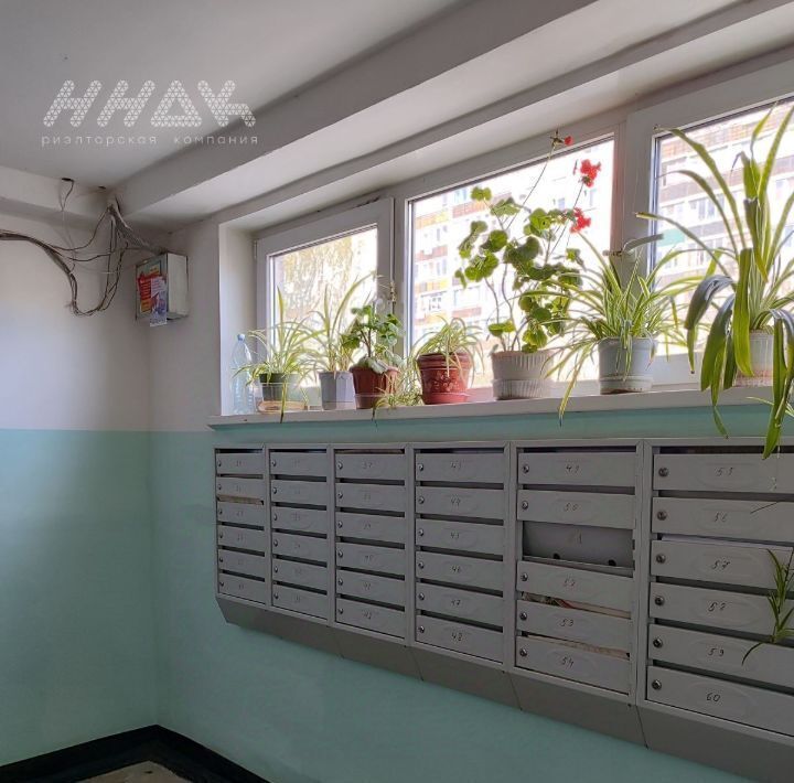 квартира г Нижний Новгород Буревестник ул Ногина 22 фото 26