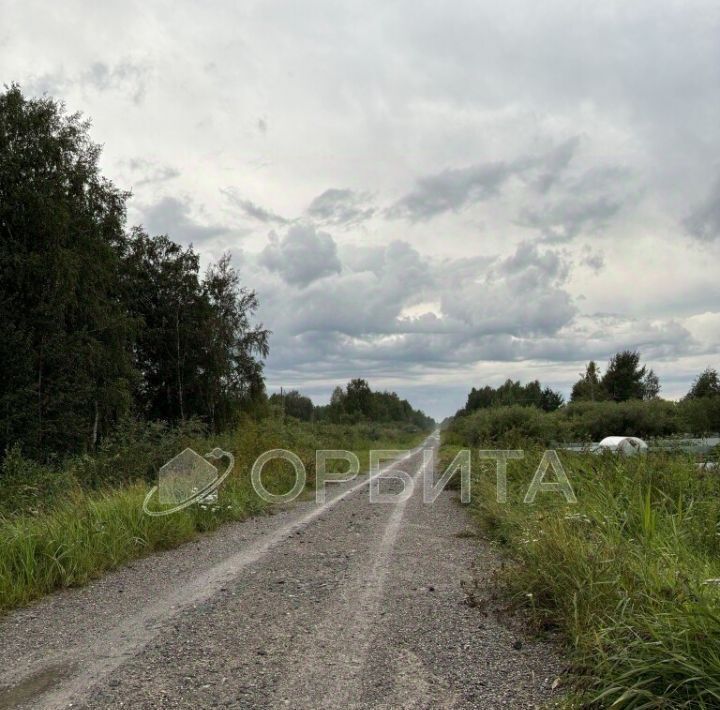 земля г Тюмень снт Виктория-1 ул Центральная 58л фото 1