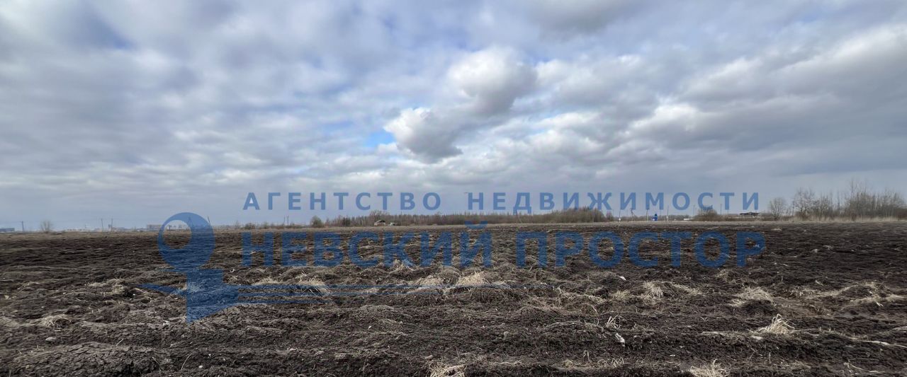 офис г Санкт-Петербург п Шушары ш Петербургское метро Московская фото 16