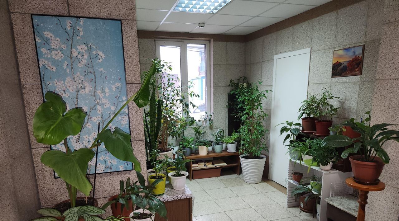 квартира г Раменское ул Мира 1 ЖК «Борисоглебский» Раменский городской округ фото 11