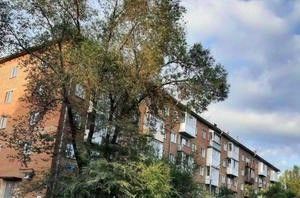 р-н Заводский ул Сарыгина 42 фото