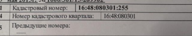 ул В.Мишина Республика Татарстан Татарстан, муниципальное образование Заинск фото