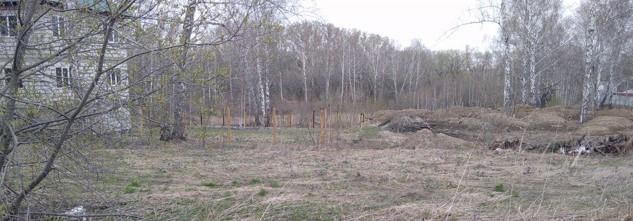 земля г Новосибирск Золотая Нива ул Полякова 377 фото 2
