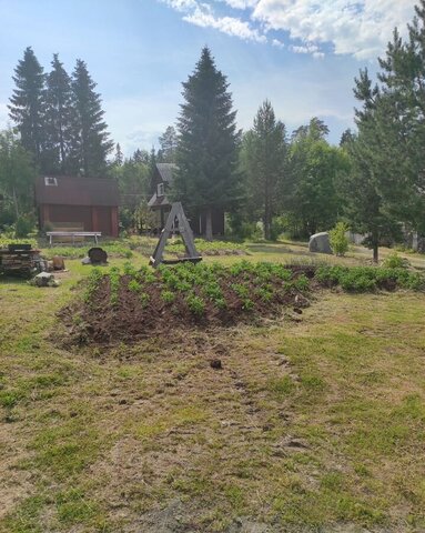 снт Сосенка Деревянское сельское поселение, Петрозаводск фото