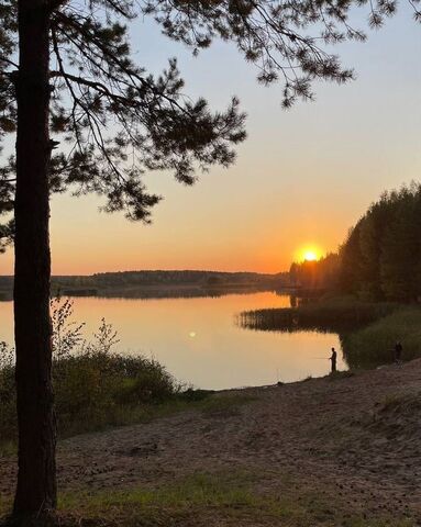 п Майский Спас-Талицкое сельское поселение, 29, Стрижи фото